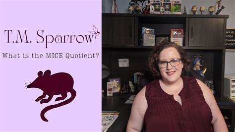 Quotient Examples 的图像结果