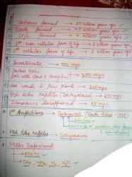 Evolution “ time scale” - NEET PDF Download