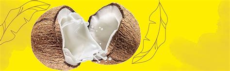 Majio Kerala Traditional Achappam Snack - Ready to Eat Rose Cookies ...