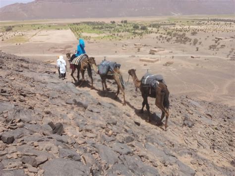 THE BEST Things to Do in Tafraoute Sidi Ali with Kids (Updated 2024)