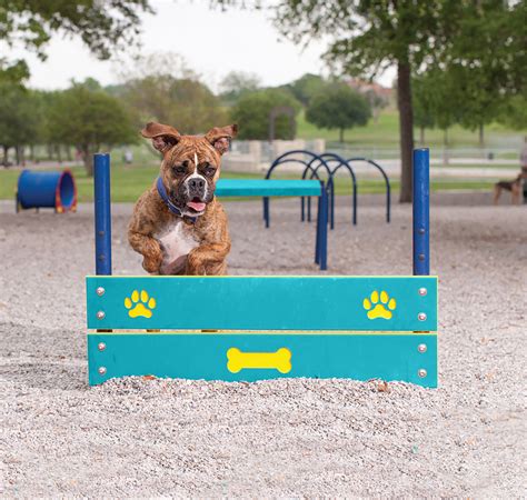 dog parks - Dave Bang Associates