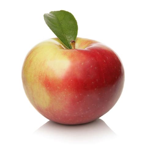 Image result for Apple System.Data