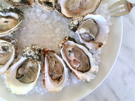 Guide to Shucking Oysters With Ease