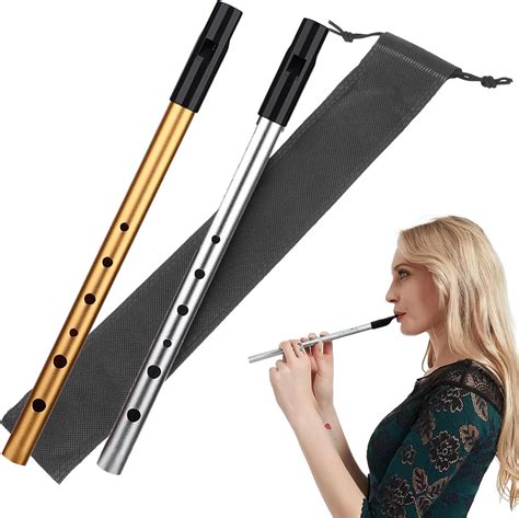 2PCS Tin Whistle,Tin Whistle D,Penny Whistle,Like IRISH Music And IRISH ...