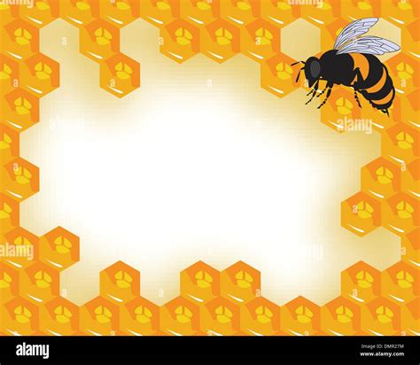 the vector bees and honeycomb with honey Stock Vector Image & Art - Alamy
