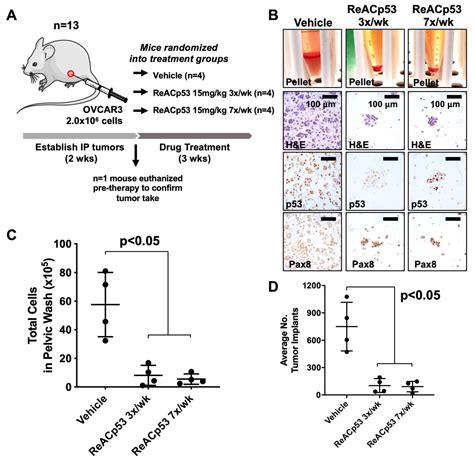 Combining ReACp53 with Carboplatin to Target High-Grade Serous Ovarian ...