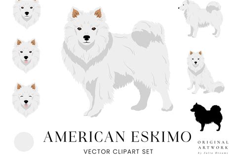 American Eskimo Spitz Prices