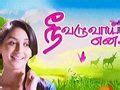 Polimer TV Serials | Tamil Serial Zone