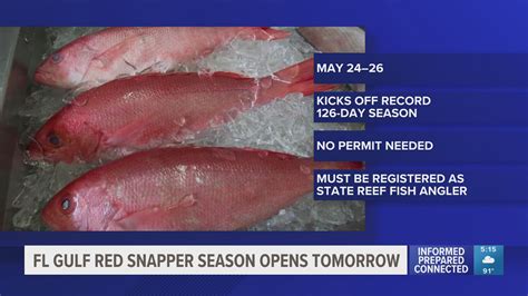 Heads up, anglers: Florida's 2025 recreational Gulf red snapper season ...