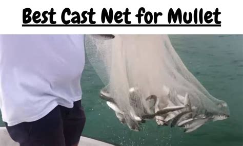 Image result for Cast Net Mullet Run