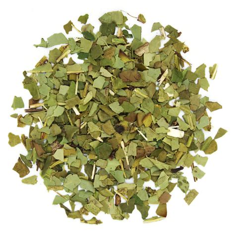 Exploring the Organic Loose Leaf Yerba Mate Craze in Australia– Teas.com.au