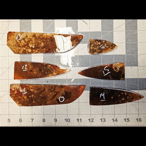 Page 2 Palm wood Preforms,Petrified Palm Wood, Flintknapping Slabs ...