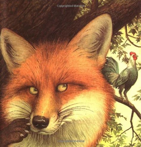 Buy The Fox and the Rooster (A Little Dipper Book(R)) Book Online at ...
