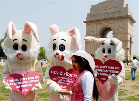 PETA protest | Page 686 | The Times of India
