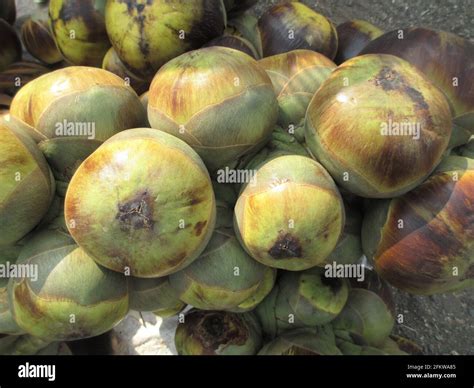 Testy healthy hi-res stock photography and images - Alamy