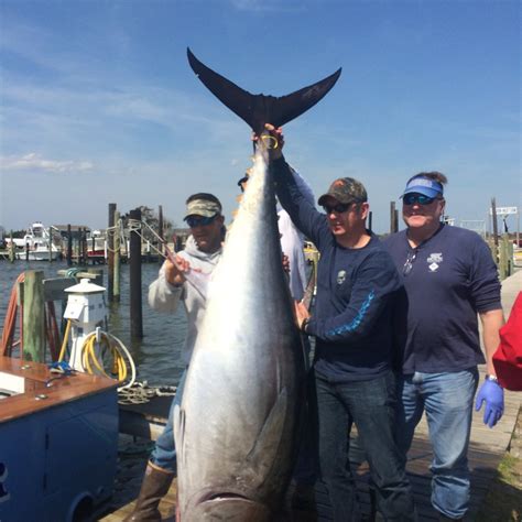 OREGON INLET FISHING CENTER (2026) All You Need to Know BEFORE You Go ...