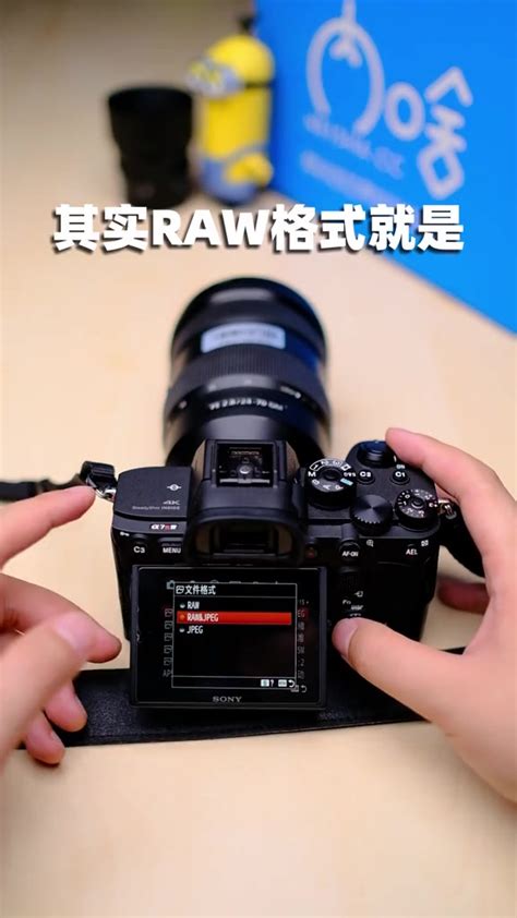 数码相机raw照片编辑Capture One Pro中文_capture one索尼版切换语言-CSDN博客