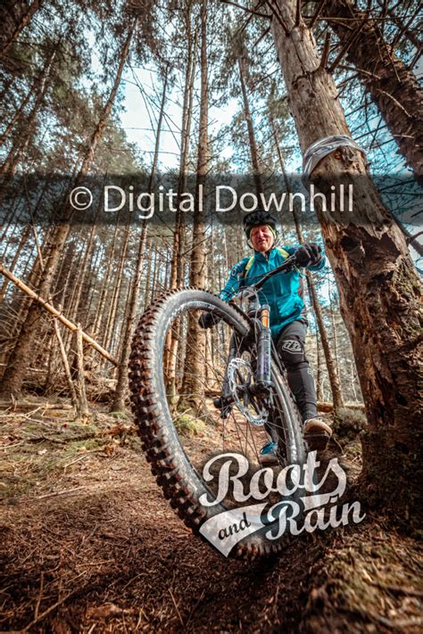 Untagged photo - Roots & Rain