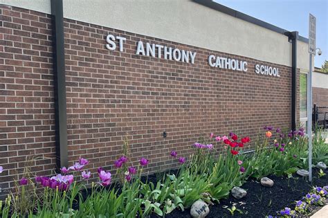 Schools in Thornhill, Markham, Ontario — The Residences Group at ...