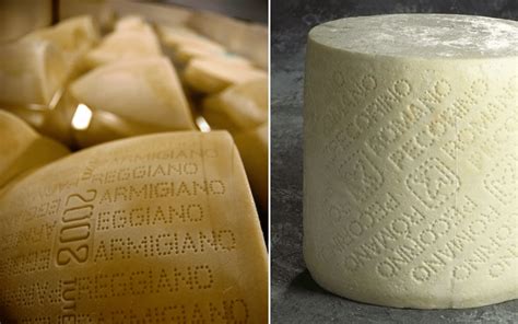 Which Is Better Pecorino Romano Vs Parmigiano Reggiano at Dorothy ...