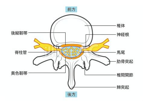 Image result for Computer Process Data