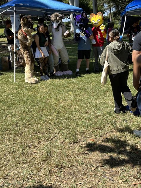 Ant Almanac but for other UC's : r/UCI