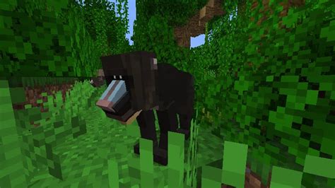 Image result for Zawa Mod Minecraft