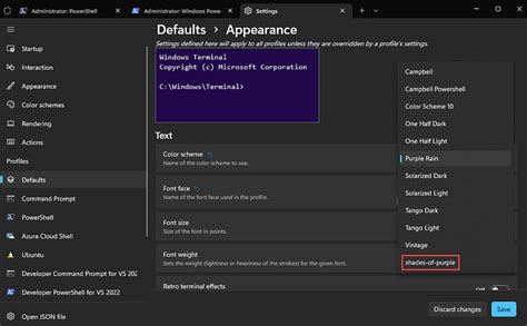 Custom Windows Terminal 的图像结果