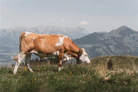 Images for Environment 的图像结果