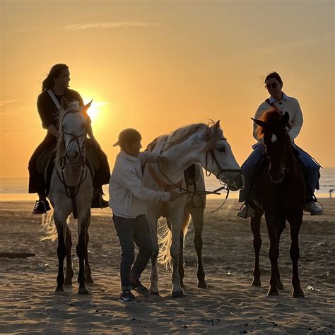 LES CAVALIERS D'ESSAOUIRA (2026) All You Need to Know BEFORE You Go ...