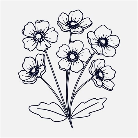 Clipart Black And White Flower