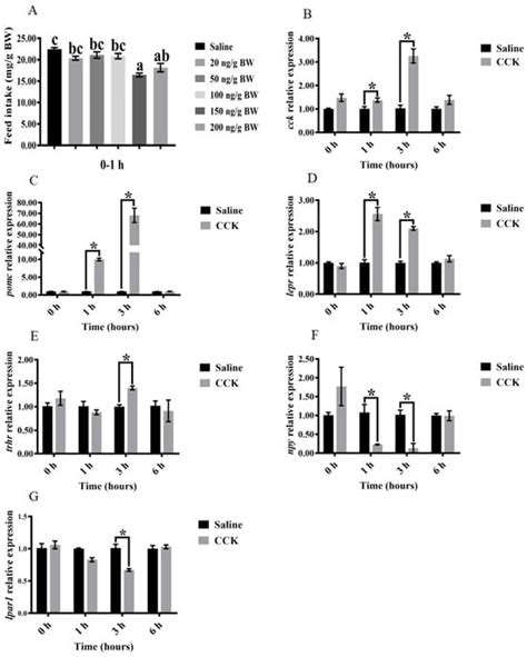 Role of Cholecystokinin (cck) in Feeding Regulation of Largemouth Bass ...