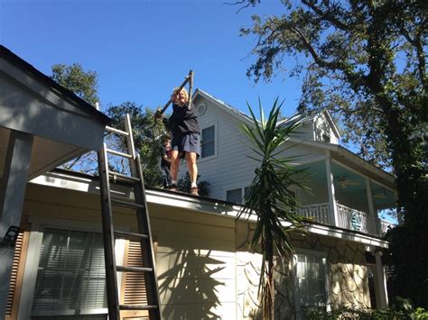 Image result for Tree Top Tree Service