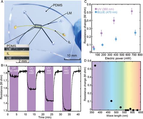Image result for Light Sensor Experiments