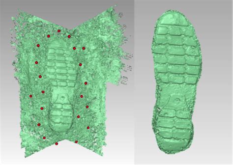 Image result for 3D Scanning Forensics
