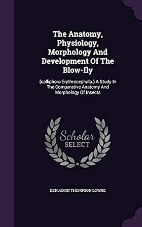 Buy The Anatomy, Physiology, Morphology And Development Of The Blow-fly ...