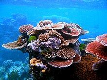 Image result for Lesson Exemplar Example