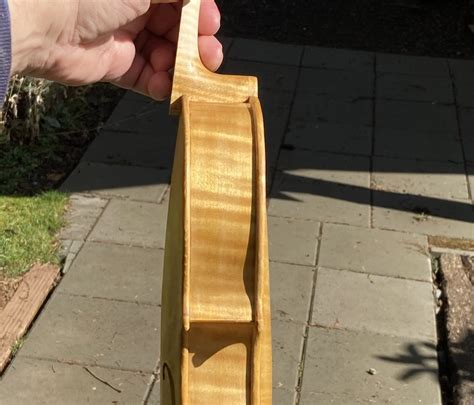 Image result for Six-String Viola