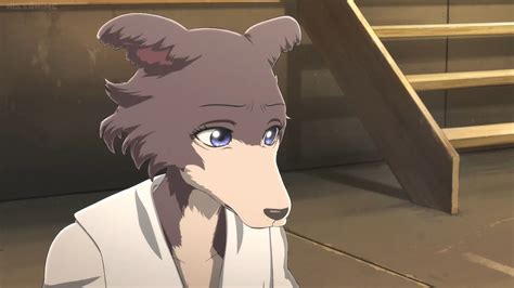 Beastars S1 E7-Juno 1 by GiuseppeDiRosso on DeviantArt