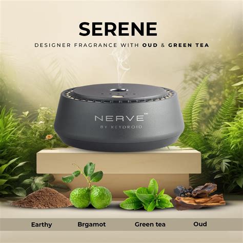 Buy the Best Natural Luxury Car Fragrances Online – nervefragrances