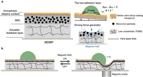 MDMP Examples 的图像结果