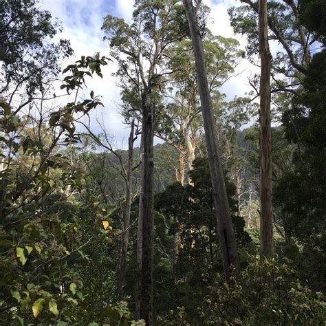 EVERCREECH FOREST RESERVE - All You Need to Know BEFORE You Go 2026 ...