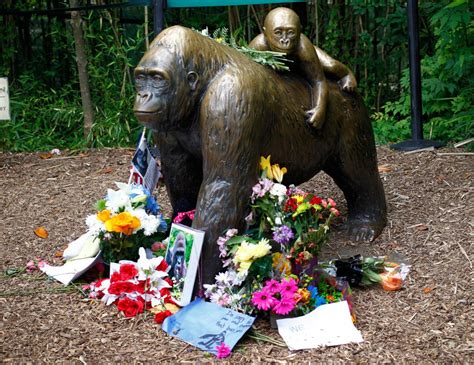 White House posts strange tribute to ‘patriot’ Harambe on 10th ...