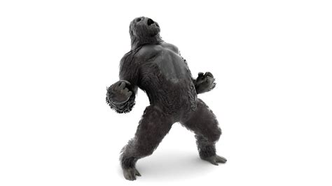 Gorilla Animated - Realistic Gorilla Animated 18+ Animations ...