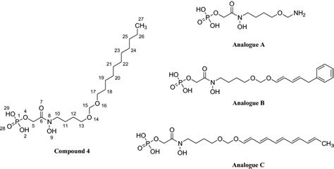 Lead Compound 的图像结果