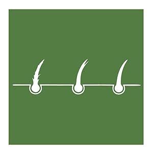 Buy MYHERB Pure Natural 100% Organic Heena Powder (Lawsonia Inermis ...