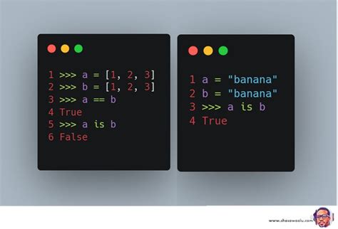 Aliasing Python 的图像结果