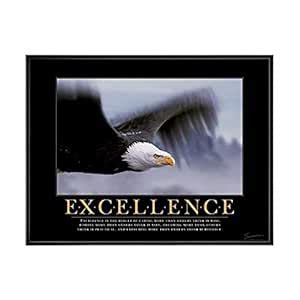 Successories .25 in. Black Aluminum Frame-Excellence Eagle Mini ...