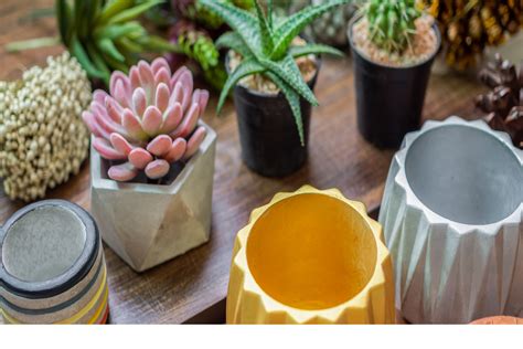 Different Types of Pots or Planters for Your Plants – Ecofynd