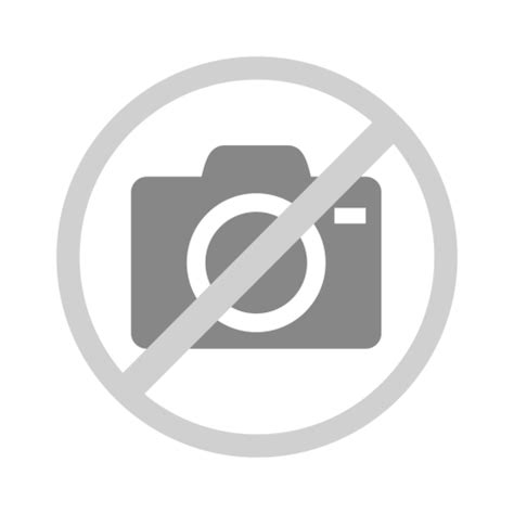 Russland 1943 - Panzerkampfwagen IV Tiger - Foto, Sammlermarkt-Nord ...